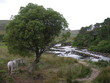countryside