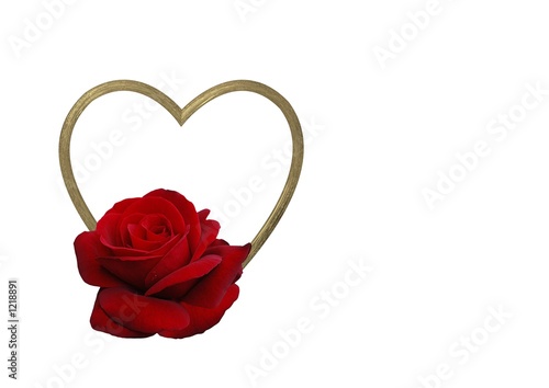 Foto: herzrose herzrose