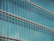 windowshades