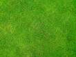 grass