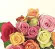 bouquet of roses bouquet of roses