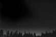 haunted forest