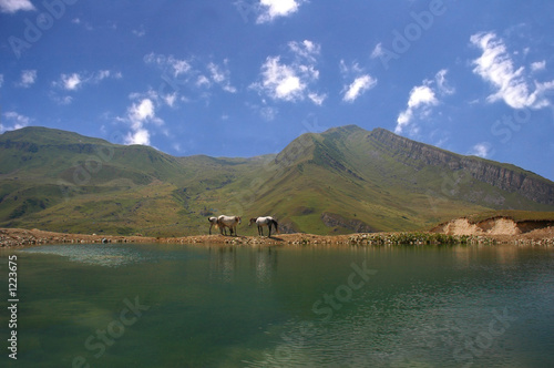 three horses grazing near mountain lake