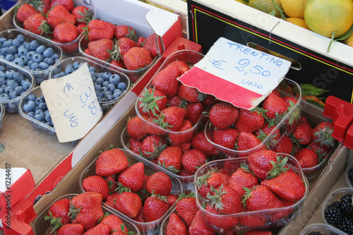 roman berries roman berries