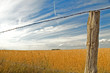 clouds over field 1