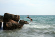 two men jumping into the water