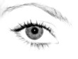 auge