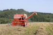 Foto: getreideernte 3 getreideernte 3