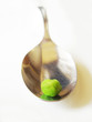 Photo: pea on the end of spoon pea on the end of spoon