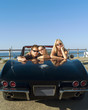 convertible fun. convertible fun.