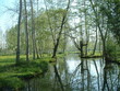 marais poitevin