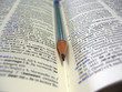 studying english