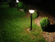 garden in the night