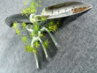 hand garden tools