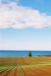 tasmania