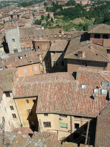 siena rooftops siena rooftops