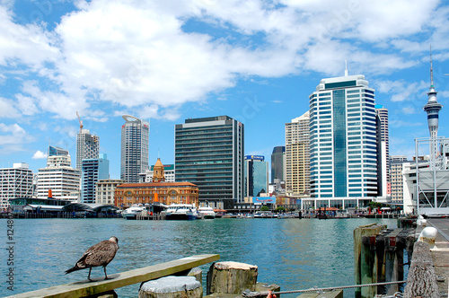skyline von auckland - vogelperspektive skyline von auckland - vogelperspektive