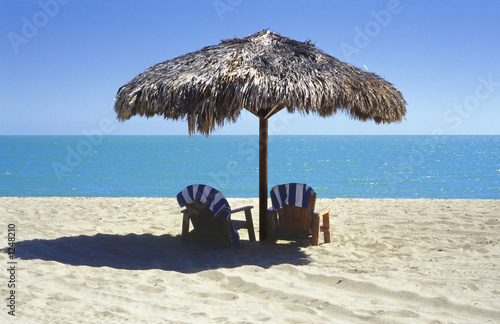 Photo: palapa on the beach palapa on the beach