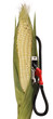 ethanol