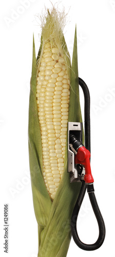 ethanol ethanol