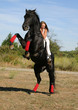cheval cabré 2