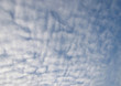 ciel