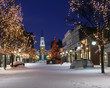 christmas in vermont