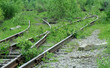 the old railway. foto4
