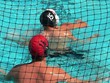 water polo series