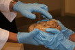 brain on display
