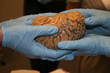 brain