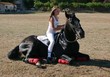cheval couché et sa cavalière