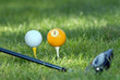 minge de golf şi club
