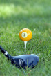 Golf Club
