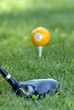 Golf Club