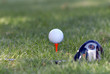 minge de golf şi club