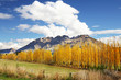 mountain view in autumn