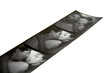 Photo: photobooth photobooth