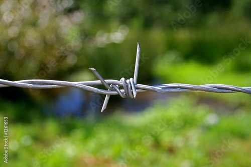 Foto: barbed wire barbed wire