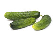green cucumbers