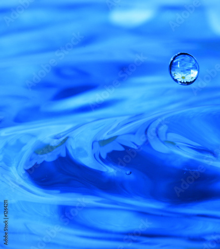 Photo: blue drop blue drop