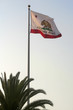 california flag california flag