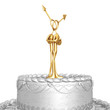 gay wedding cake
