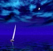 sailer in the quiet night  sea