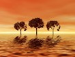 trio trees on the sunset