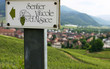 wine-growing alsatian path