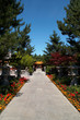 road to temple