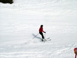 woman skiing