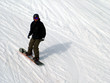 snowboarder snowboarding