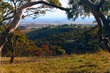 australian landscape